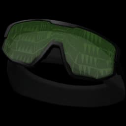 clothes/male/head/2042/13.webp