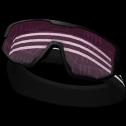clothes/male/head/2042/40.webp