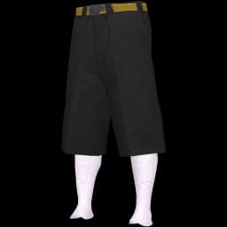 clothes/male/legs/2012/0.webp