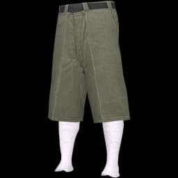 clothes/male/legs/2012/1.webp