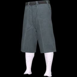 clothes/male/legs/2012/2.webp