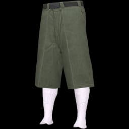 clothes/male/legs/2012/3.webp
