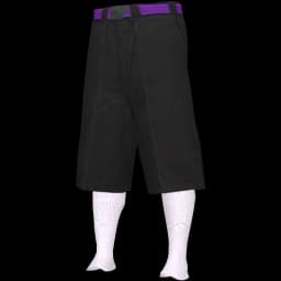 clothes/male/legs/2012/4.webp