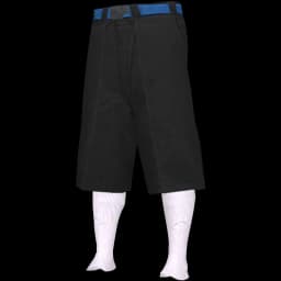 clothes/male/legs/2012/5.webp