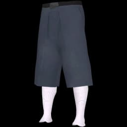 clothes/male/legs/2012/7.webp