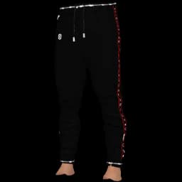 clothes/male/legs/2014/0.webp