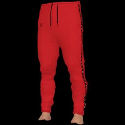 clothes/male/legs/2014/2.webp