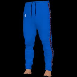 clothes/male/legs/2014/5.webp