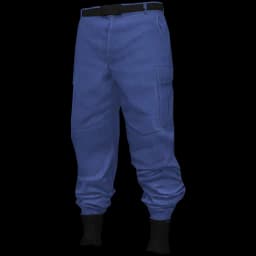 clothes/male/legs/2018/15.webp