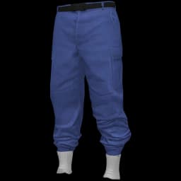 clothes/male/legs/2018/5.webp