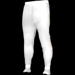 clothes/male/legs/2021/0.webp