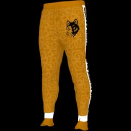 clothes/male/legs/2023/5.webp