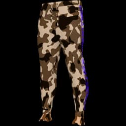 clothes/male/legs/2024/1.webp