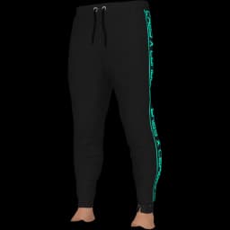 clothes/male/legs/2024/2.webp