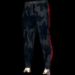 clothes/male/legs/2024/3.webp