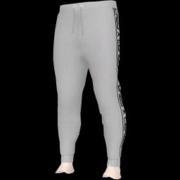 clothes/male/legs/2024/4.webp
