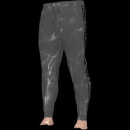 clothes/male/legs/2024/5.webp