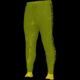 clothes/male/legs/2024/6.webp