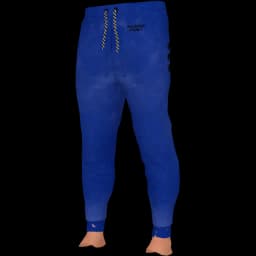 clothes/male/legs/2028/1.webp