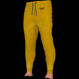 clothes/male/legs/2028/8.webp