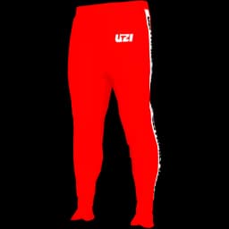 clothes/male/legs/2039/3.webp