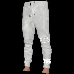 clothes/male/legs/2040/7.webp