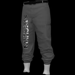 clothes/male/legs/2045/1.webp
