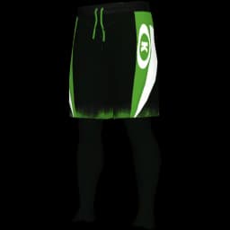 clothes/male/legs/2056/11.webp