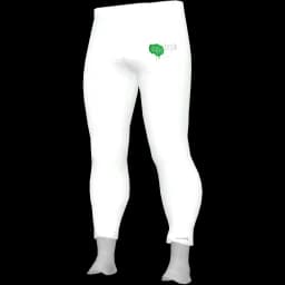 clothes/male/legs/2058/1.webp