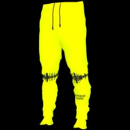 clothes/male/legs/2070/25.webp