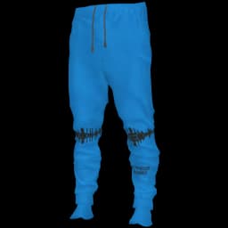 clothes/male/legs/2070/7.webp