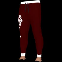 clothes/male/legs/2071/1.webp