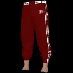 clothes/male/legs/2073/1.webp