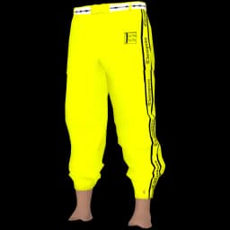 clothes/male/legs/2073/2.webp