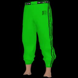 clothes/male/legs/2073/3.webp