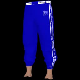 clothes/male/legs/2073/7.webp