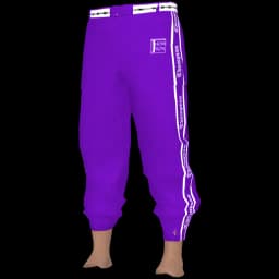 clothes/male/legs/2073/9.webp