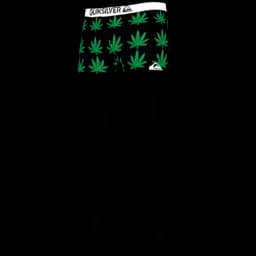 clothes/male/legs/2093/12.webp