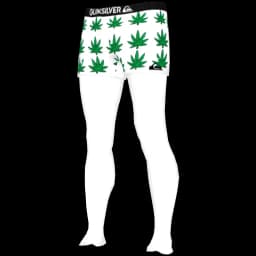 clothes/male/legs/2093/13.webp