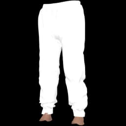clothes/male/legs/2100/15.webp