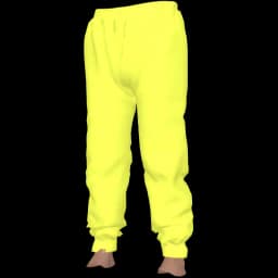 clothes/male/legs/2100/18.webp