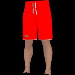 clothes/male/legs/2101/12.webp