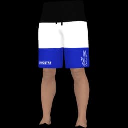 clothes/male/legs/2101/17.webp