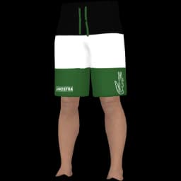 clothes/male/legs/2101/19.webp