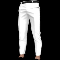 clothes/male/legs/2108/0.webp