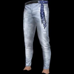 clothes/male/legs/2109/22.webp