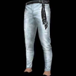 clothes/male/legs/2109/39.webp