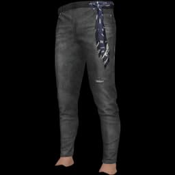 clothes/male/legs/2109/53.webp