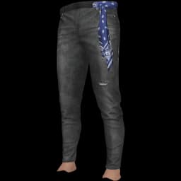clothes/male/legs/2109/61.webp