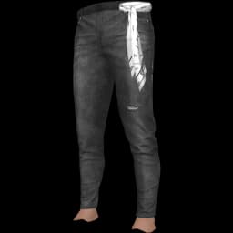clothes/male/legs/2109/63.webp
